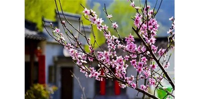 陽春三月，臺群精機(jī)一大波展會即將來襲，您準(zhǔn)備好了嗎？