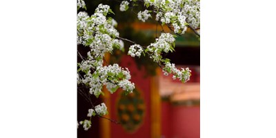 【展會(huì)資訊】臺(tái)群精機(jī)5月展會(huì)一覽，等您來(lái)參觀！